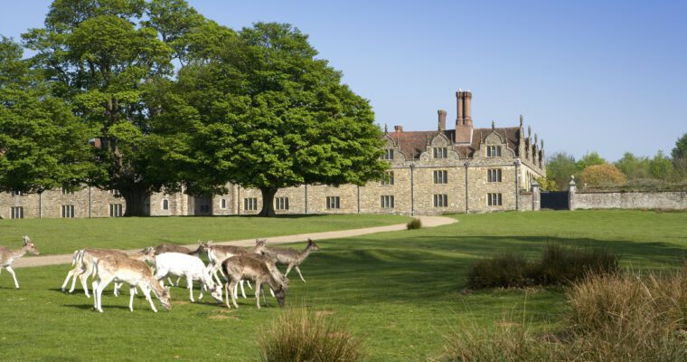 Knole Park