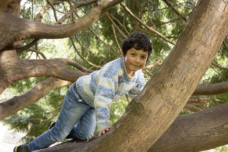 A small boy plays in the trees at Kearsney Abbey.