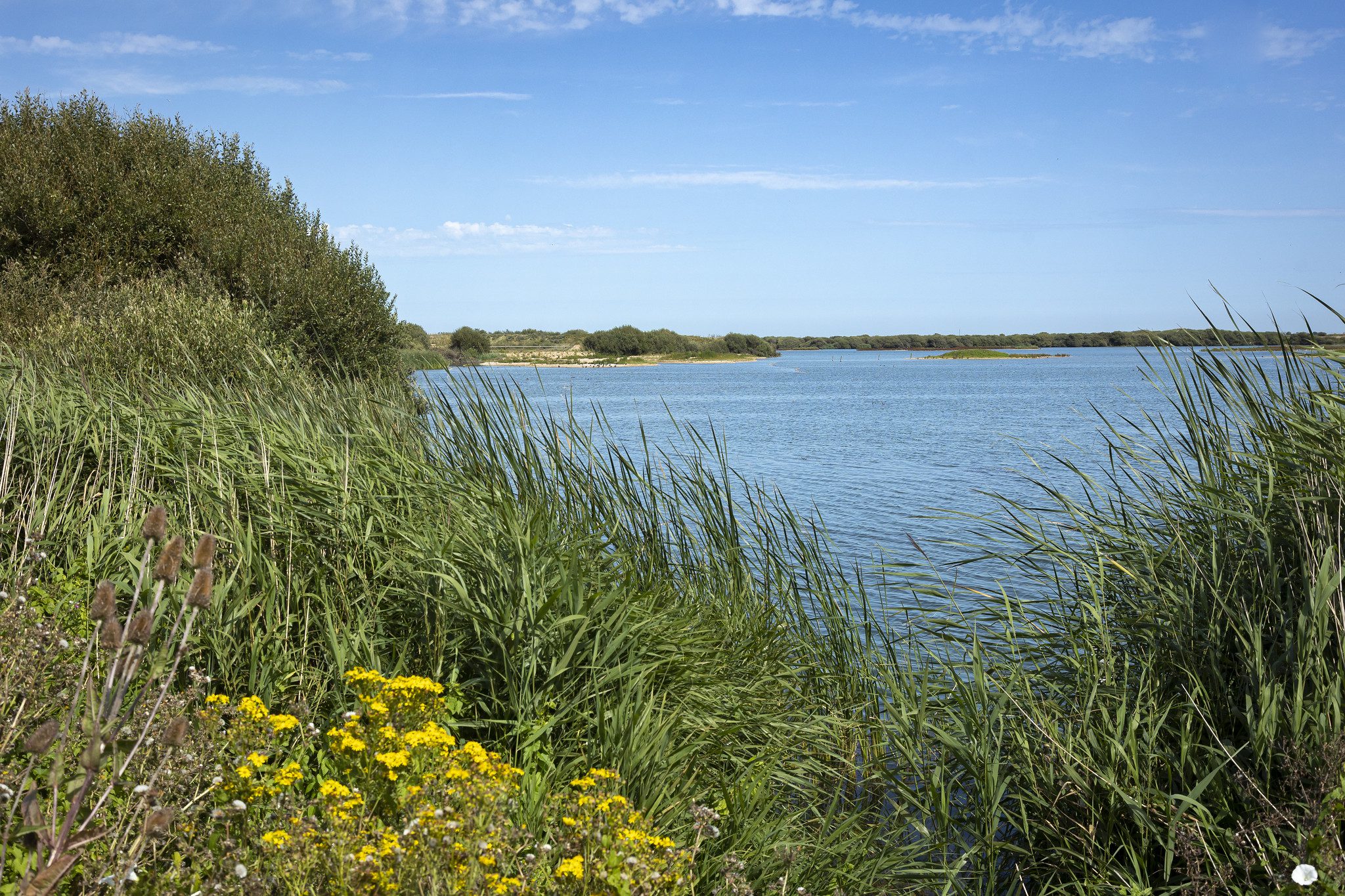 Dungeness RSPB Discovery Trail