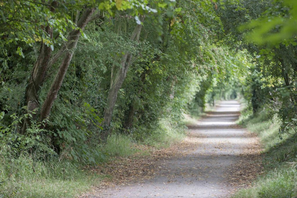 Inspiring Pub Walks In Kent Explore Kent