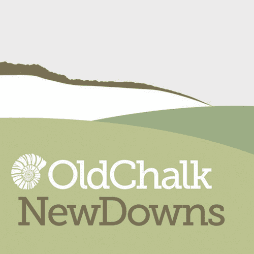 Old Chalk New Downs Logo