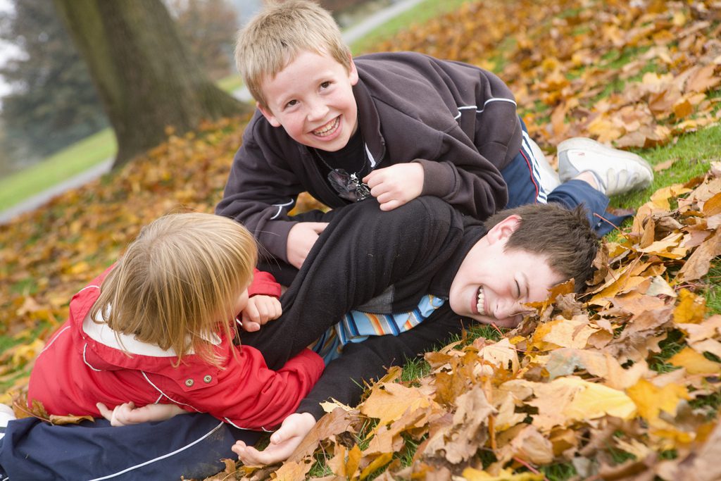 Children playing in the leaves