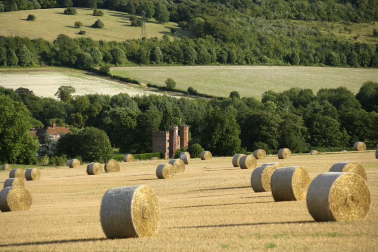 View across hay fields to Lullingstone Castle