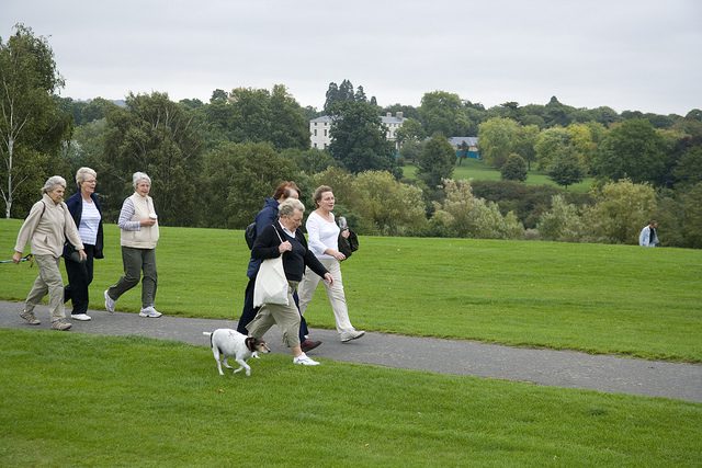 Dog Walking Mote Park