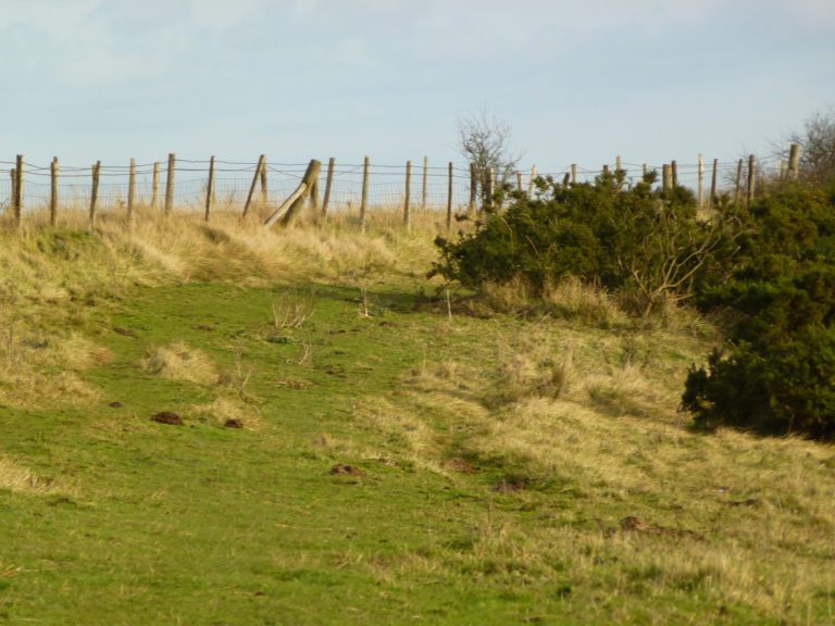 Landscape on Folkestone Downs