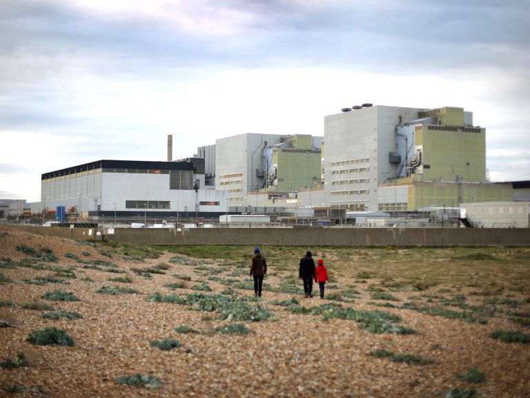 Dungeness Discovery