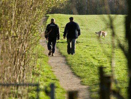 Duo walking with dog in field