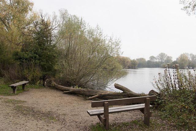 Benches overlooking lake