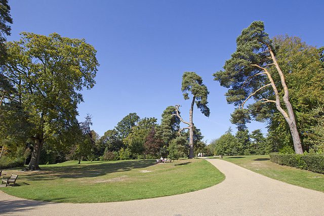 Curved Path within park