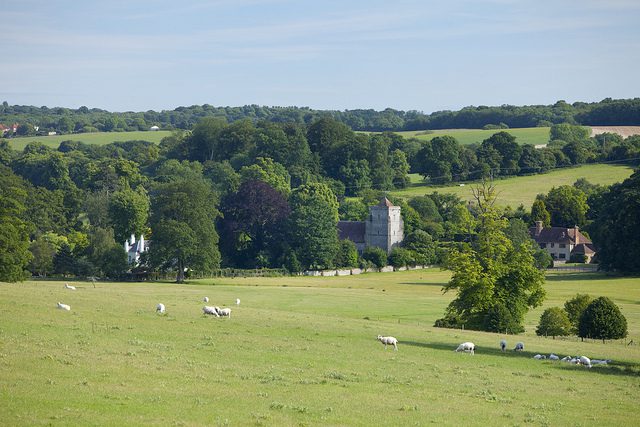 Elham valley landscape sheep