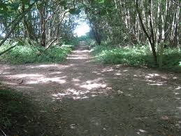 soakham pathway