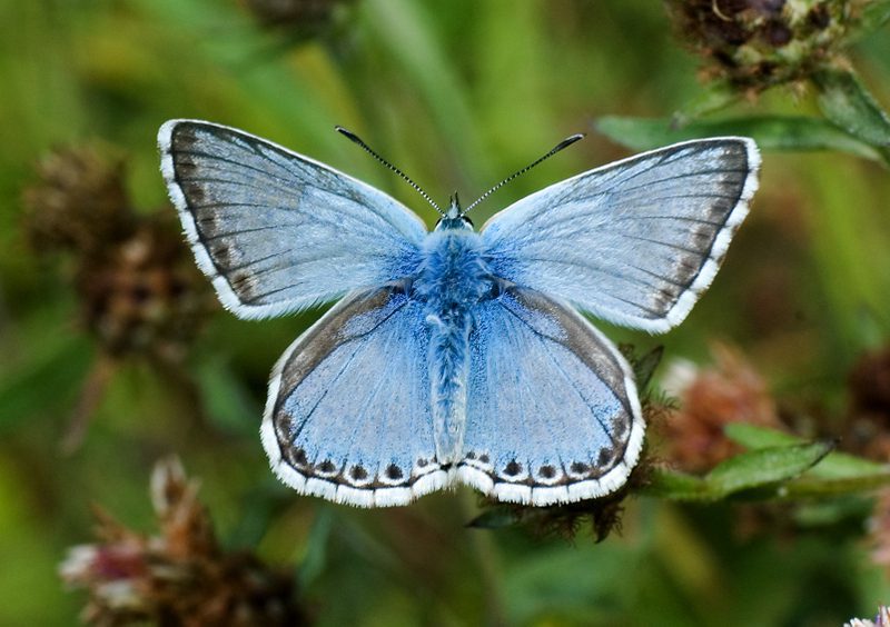 Farming in Protected Landscapes