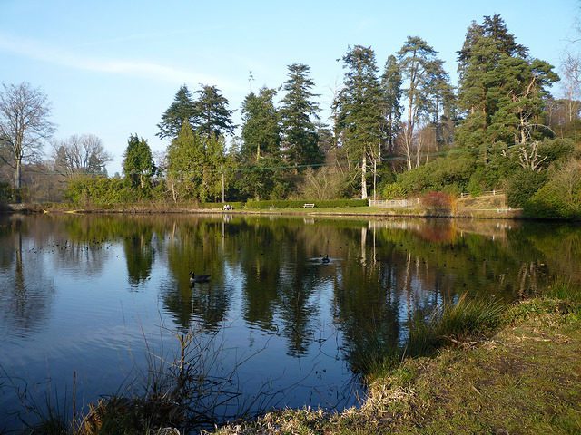 Bedgebury lake