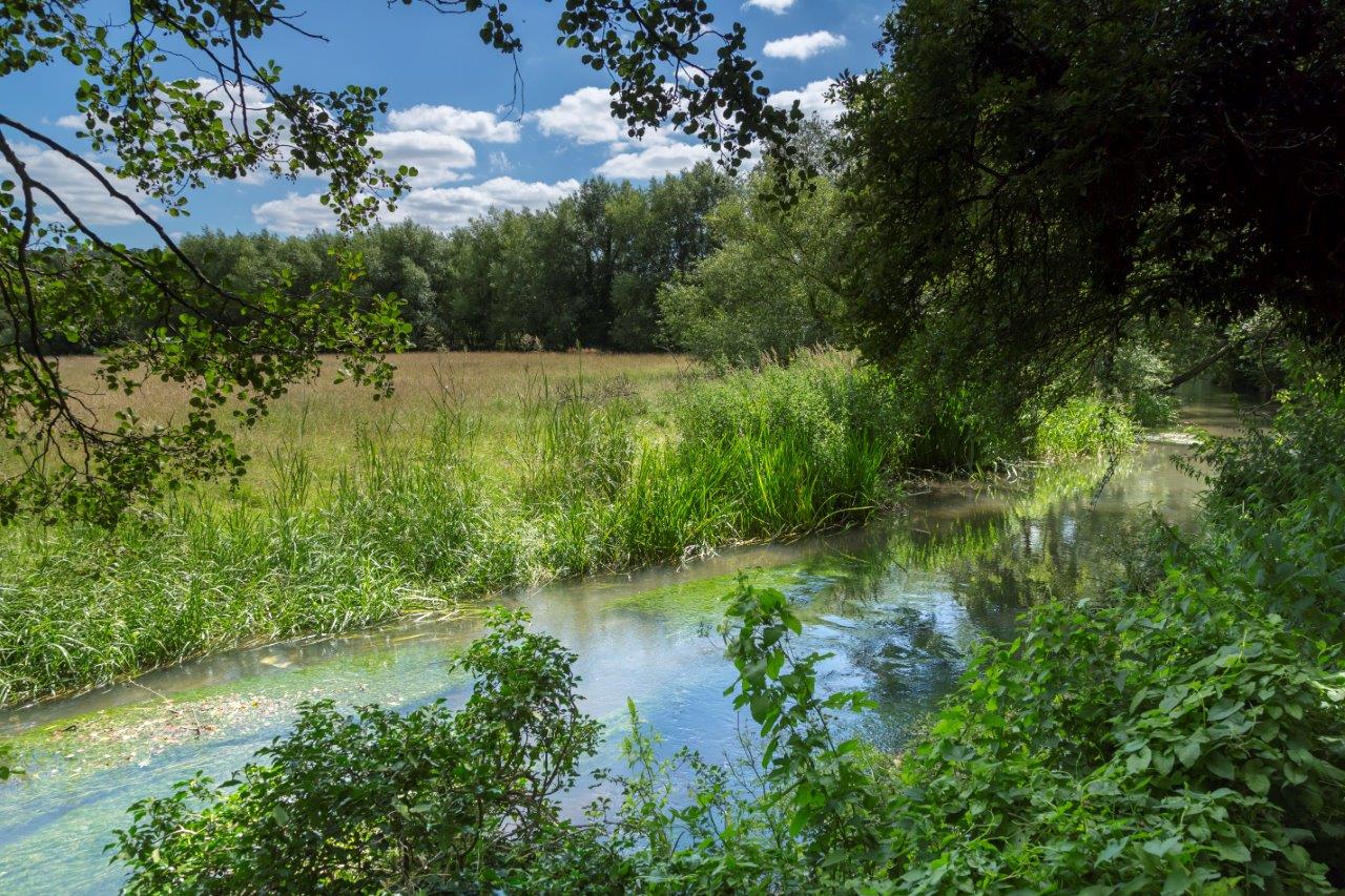 River Darent, with trees on right and grass fields on left. Sunny day.