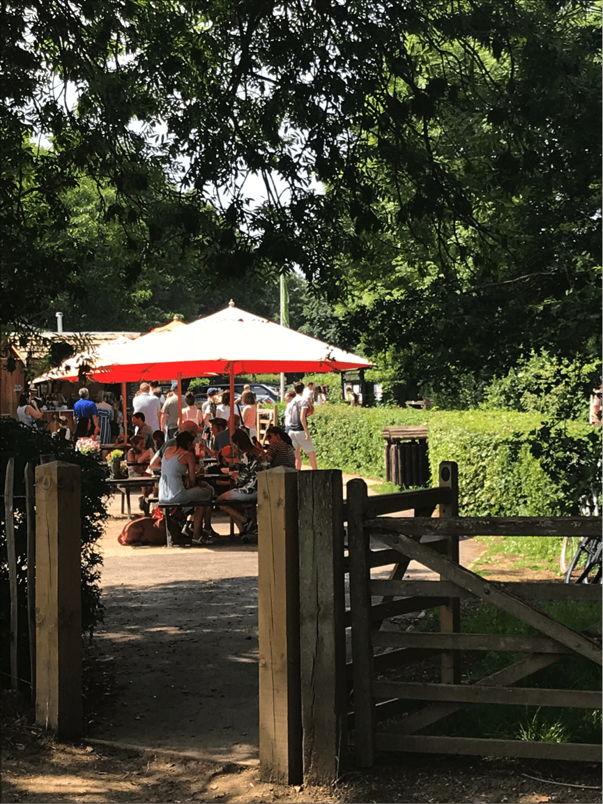 People enjoying Haysden Country Park