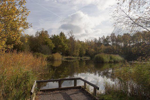 Shorne Woods Country Park