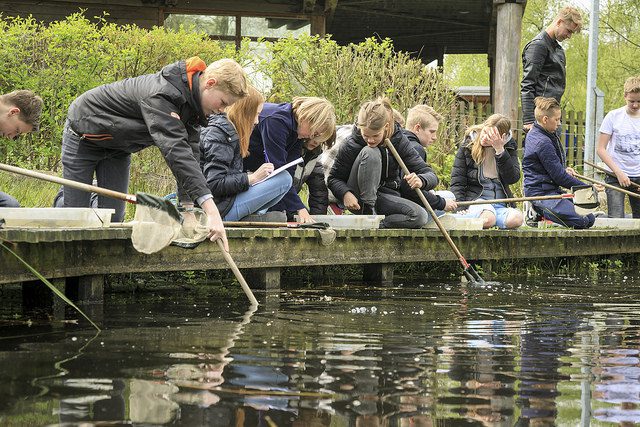 Pond-Dipping-at-Shorne-Woods