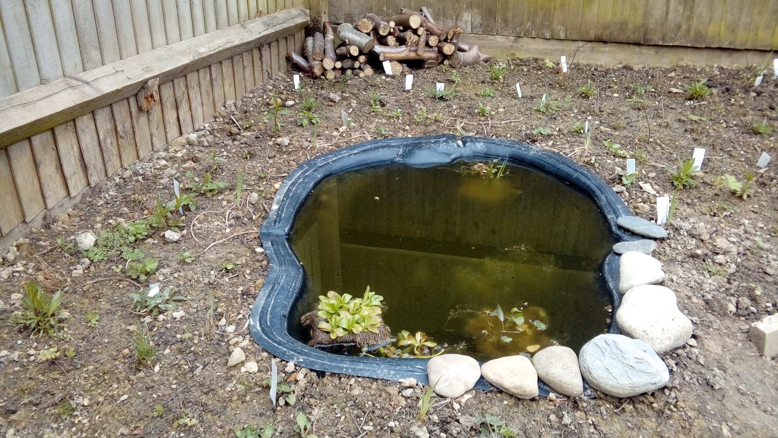 Newly built pond