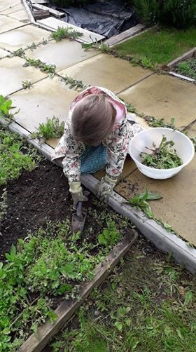 Child gardening