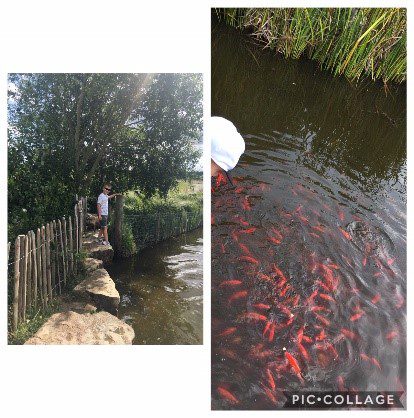 Josh near pond and fish