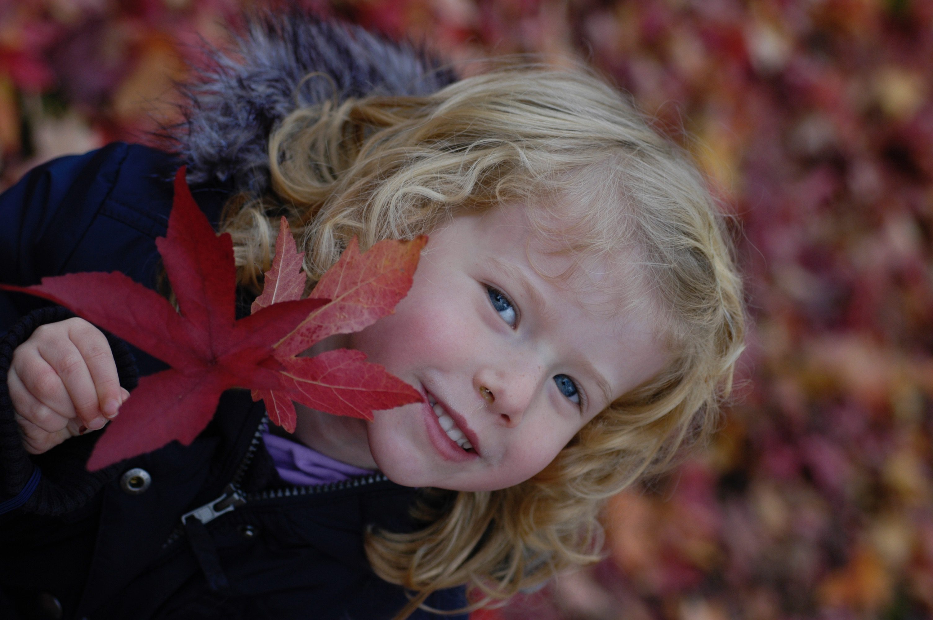 kid in autumnal woodland