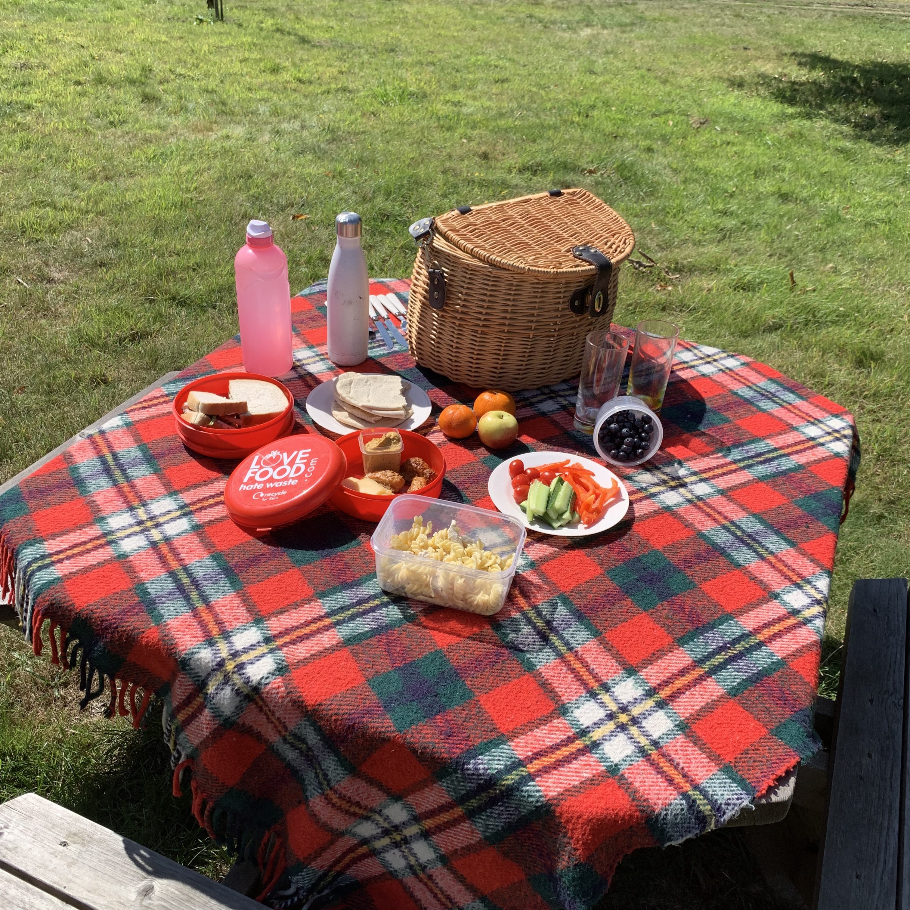 zero waste picnic