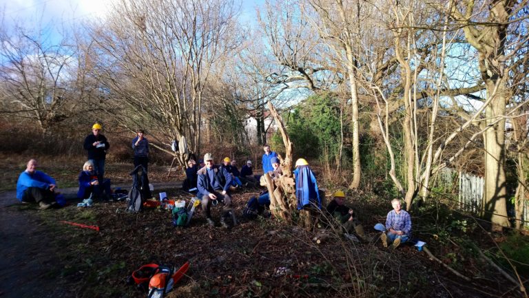 coppicing in the northern extension