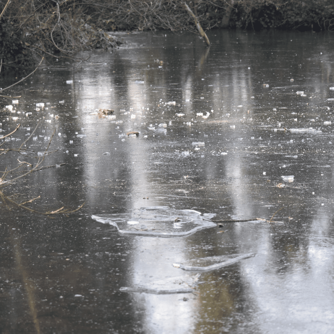 ice over pond