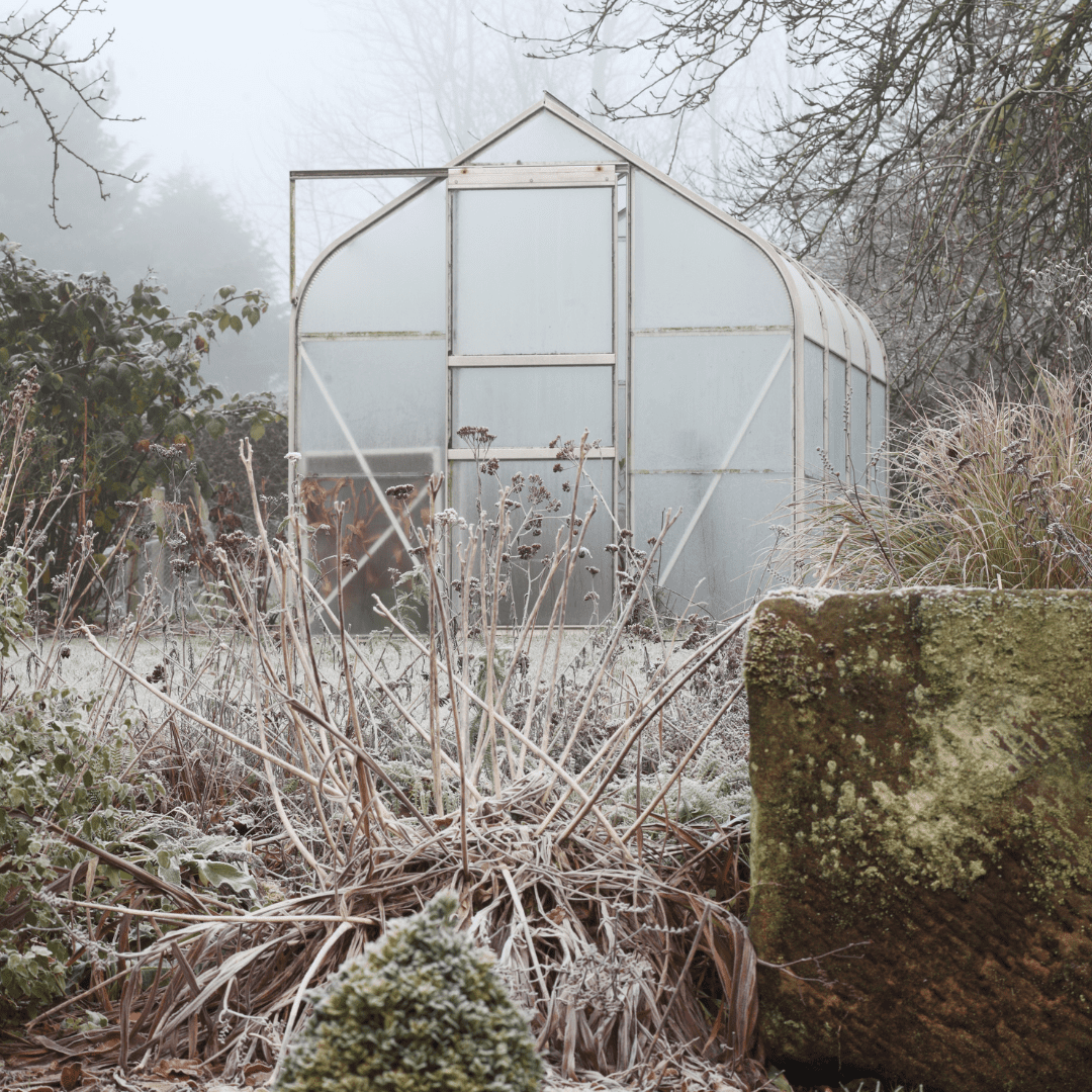 winter garden