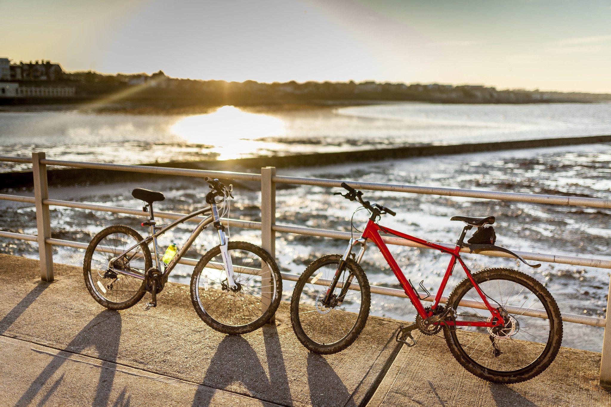 Bikes on the seafront.