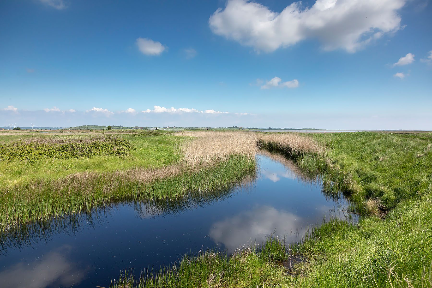 oare marshes water landscape