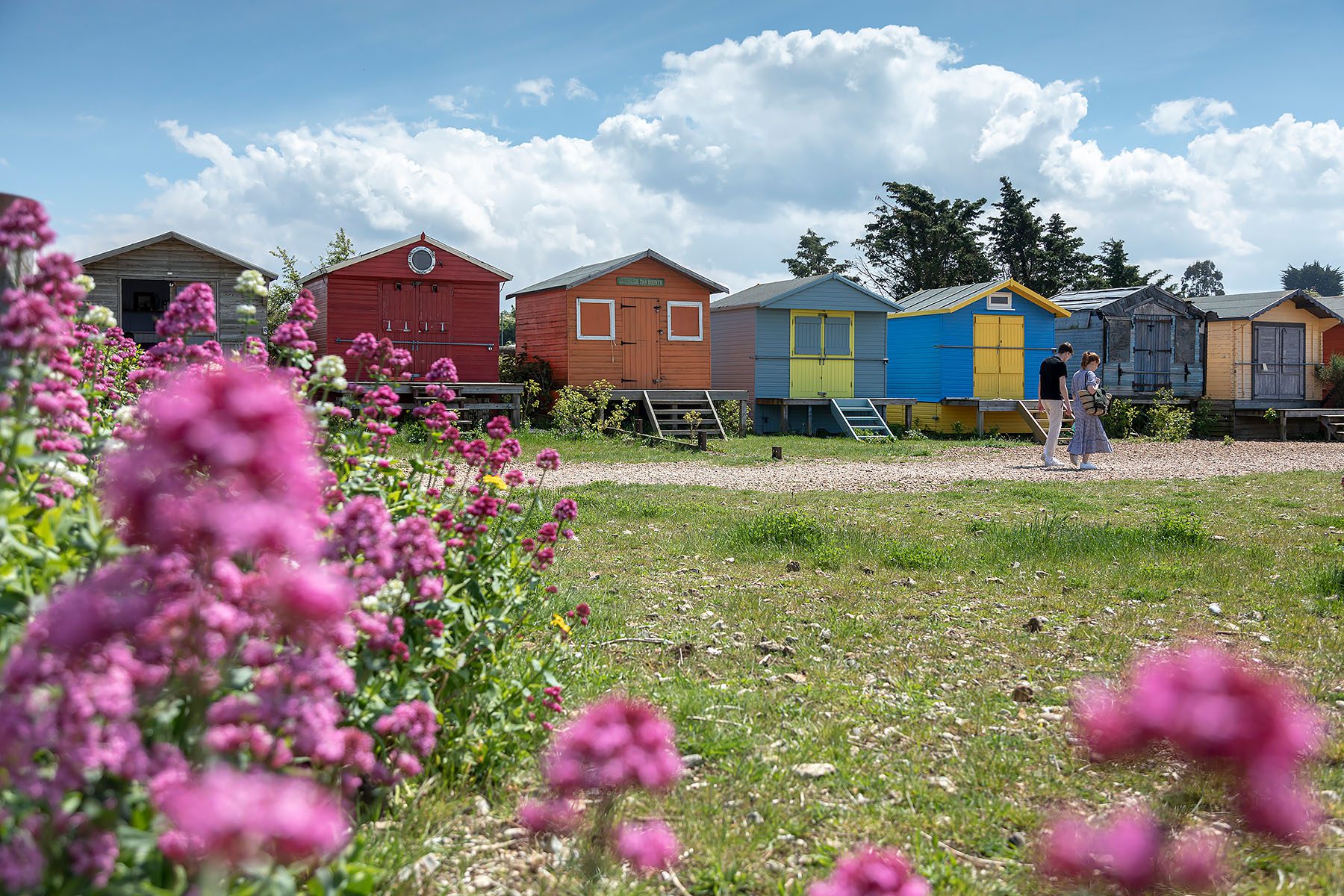 colourful beach huts at whitstable beach