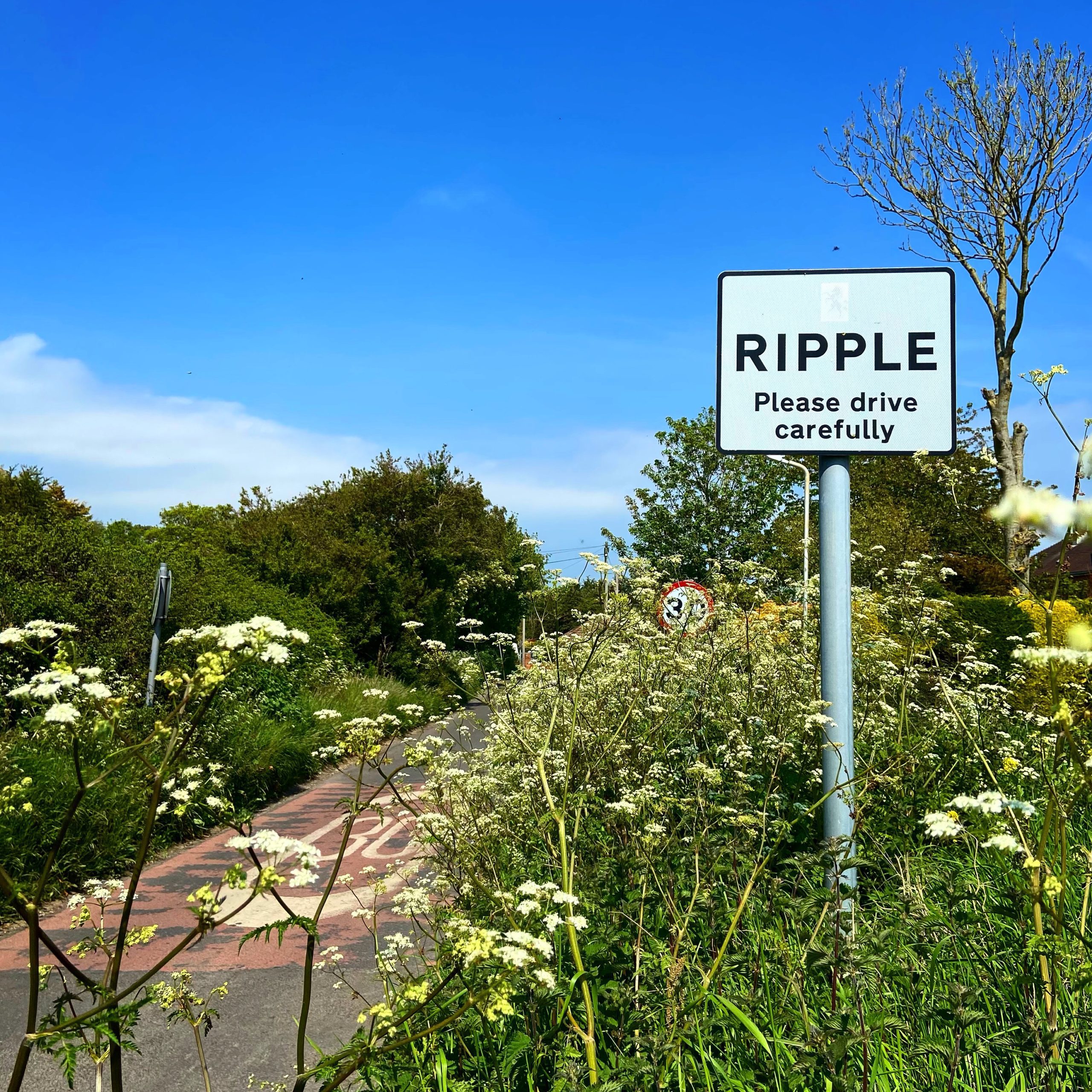 Road sign for Ripple