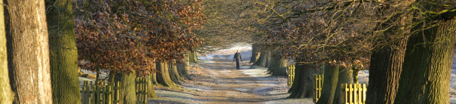 Man walking through a winter woodland