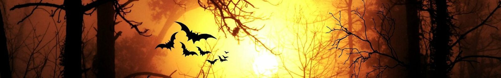 Halloween Picture with bats and trees alongside a grave