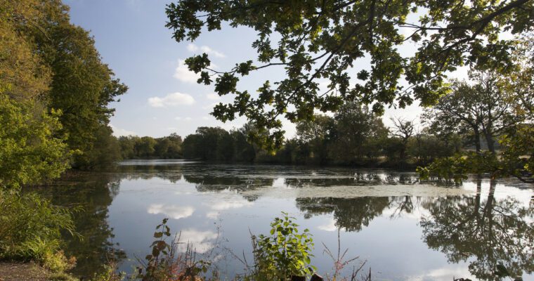Haysden Park