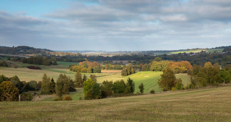 Lullingstone Country Park field shot