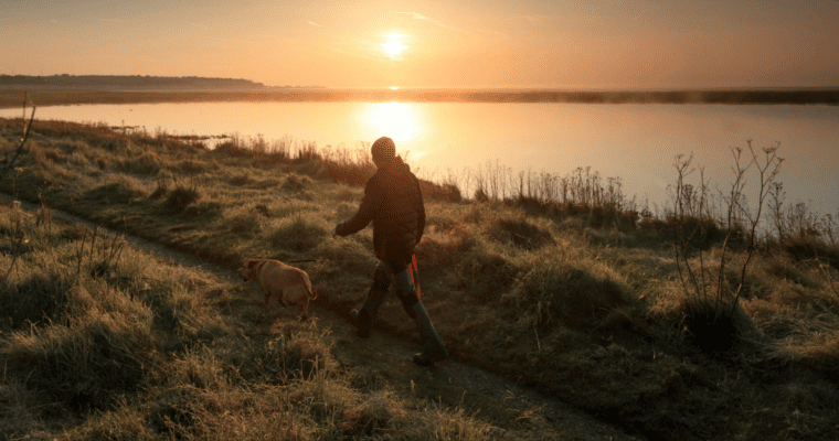 Man walking his dog in the sunset by a river