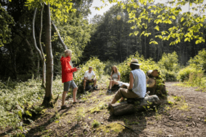 Mindful coaching discussion in the woods