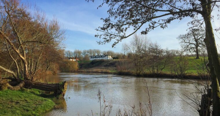 River Medway surrounding trees