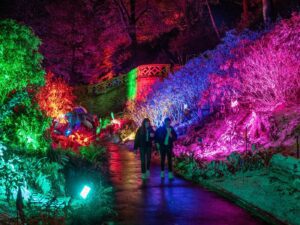 Hever Castle Christmas Lights Experience