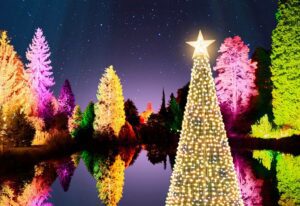 Bedgebury magical illuminated trail