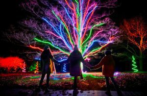 Children walking around lit up colourful tree at night time