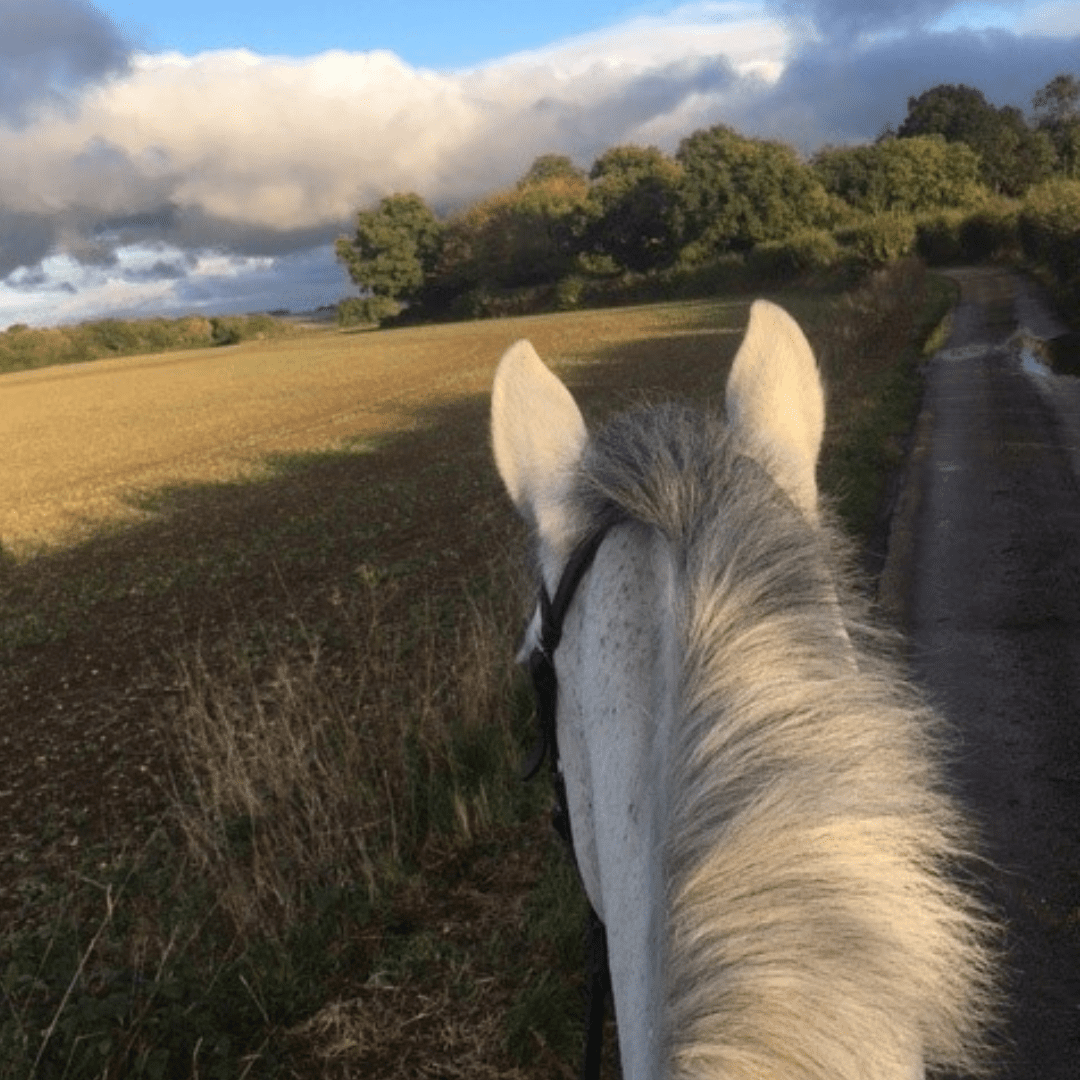 Horse rider's perspective views across fields