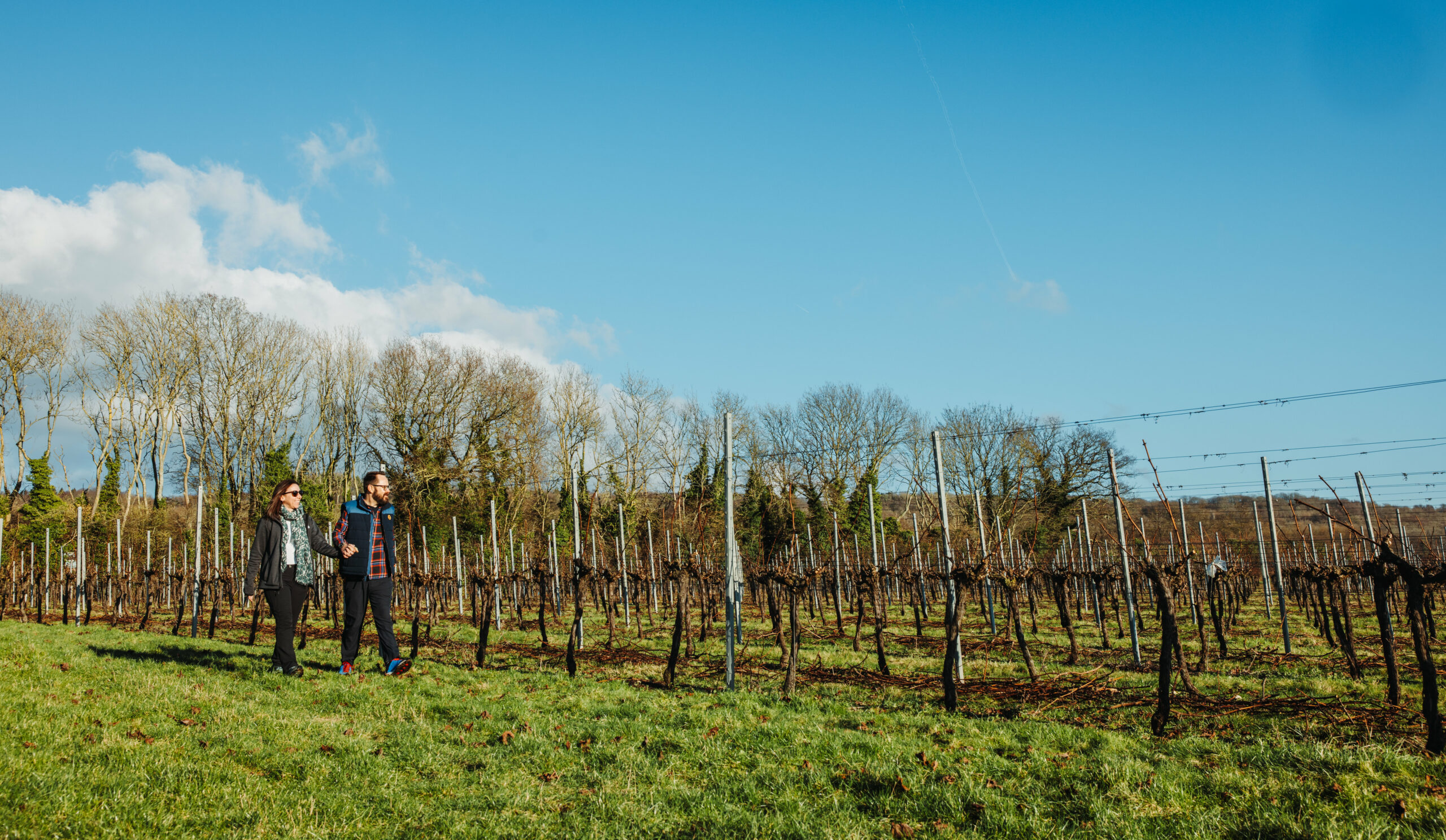 Couple walking through field in Autumn