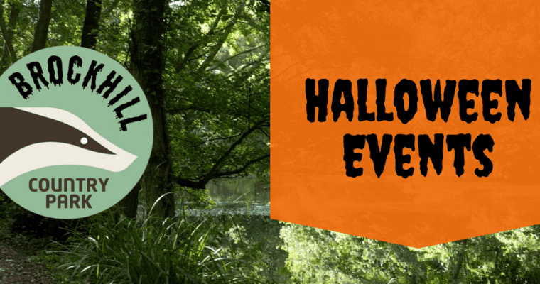 Brockhill Halloween Banner