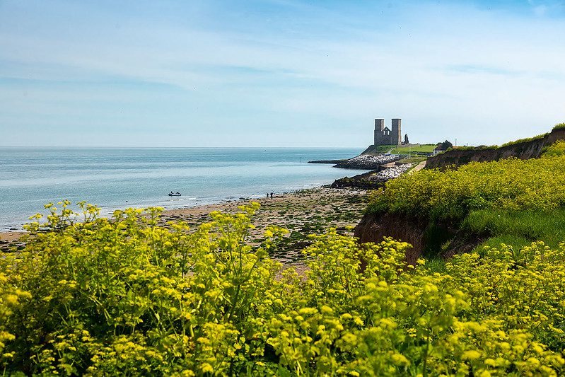 View of Reculver Towers with flowers in the foreground