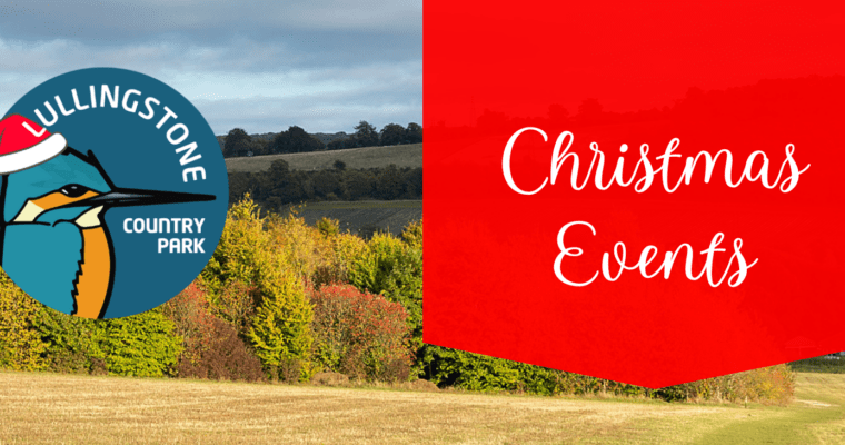 Lullingstone Christmas Events Banner