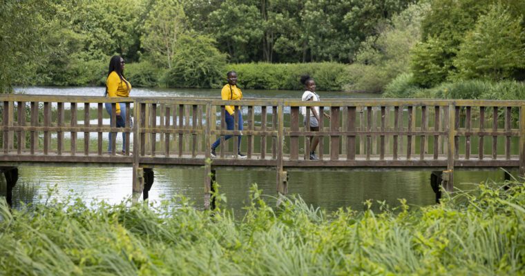 People walking on bridge at Capstone Country Park