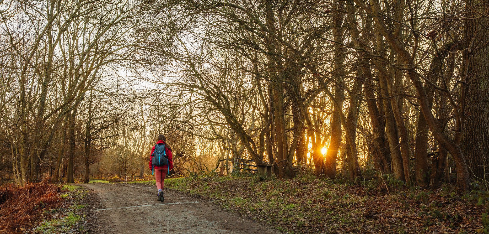 North Down Way - Otford to Cuxton